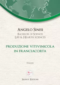 Thesis Angelo Sinisi